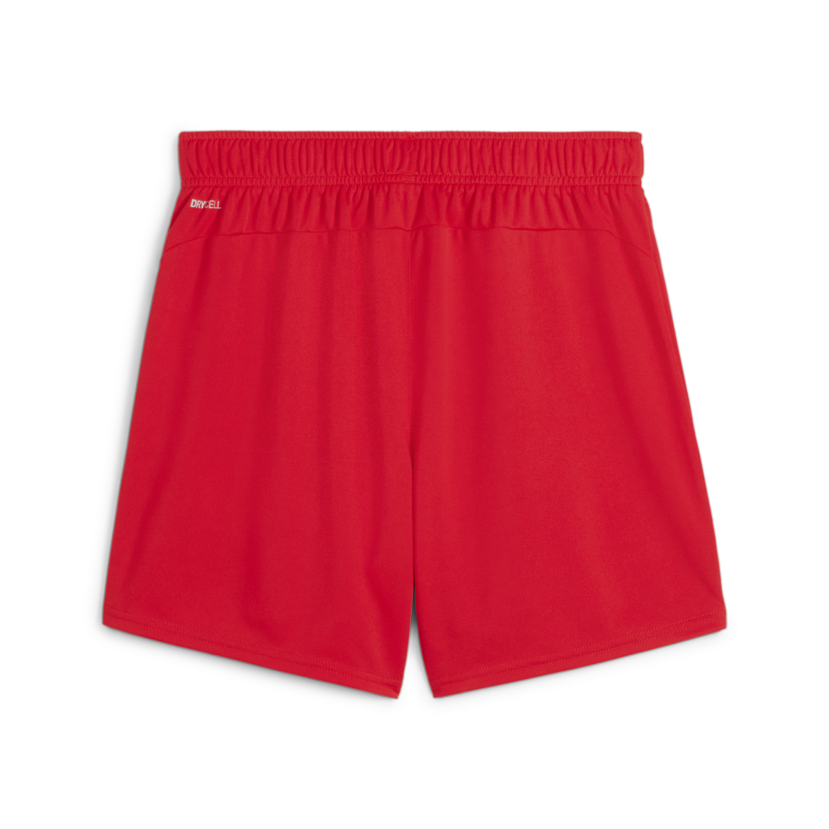 Puma Women's Teamgoal Shorts - Red 705754-01
