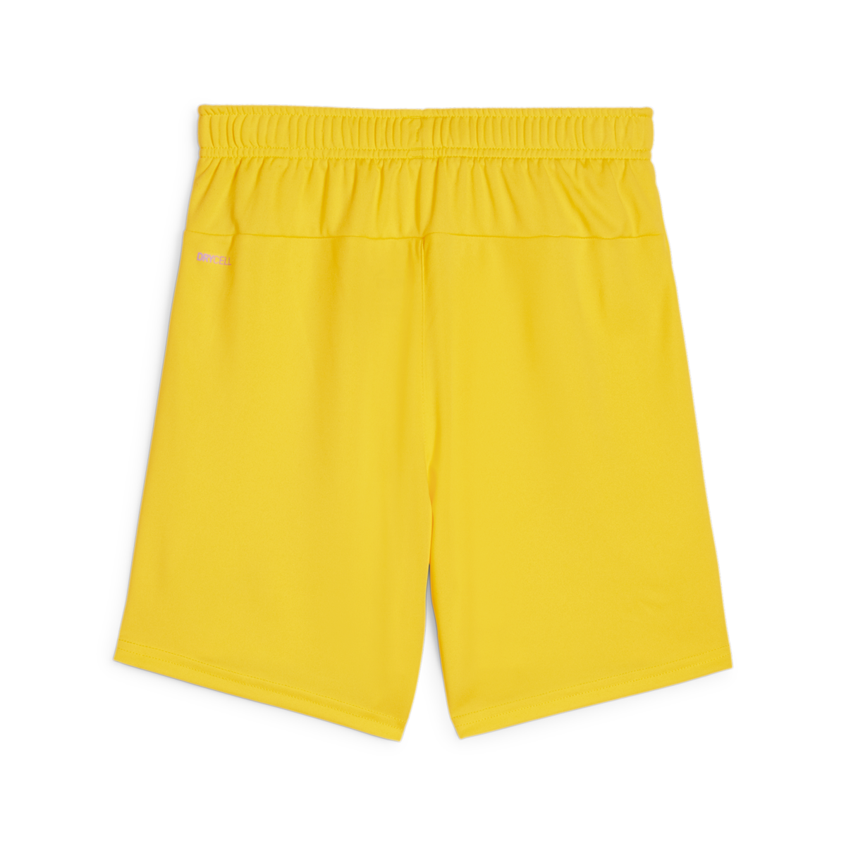 Puma Youth Teamgoal Shorts - Yellow 705753-07