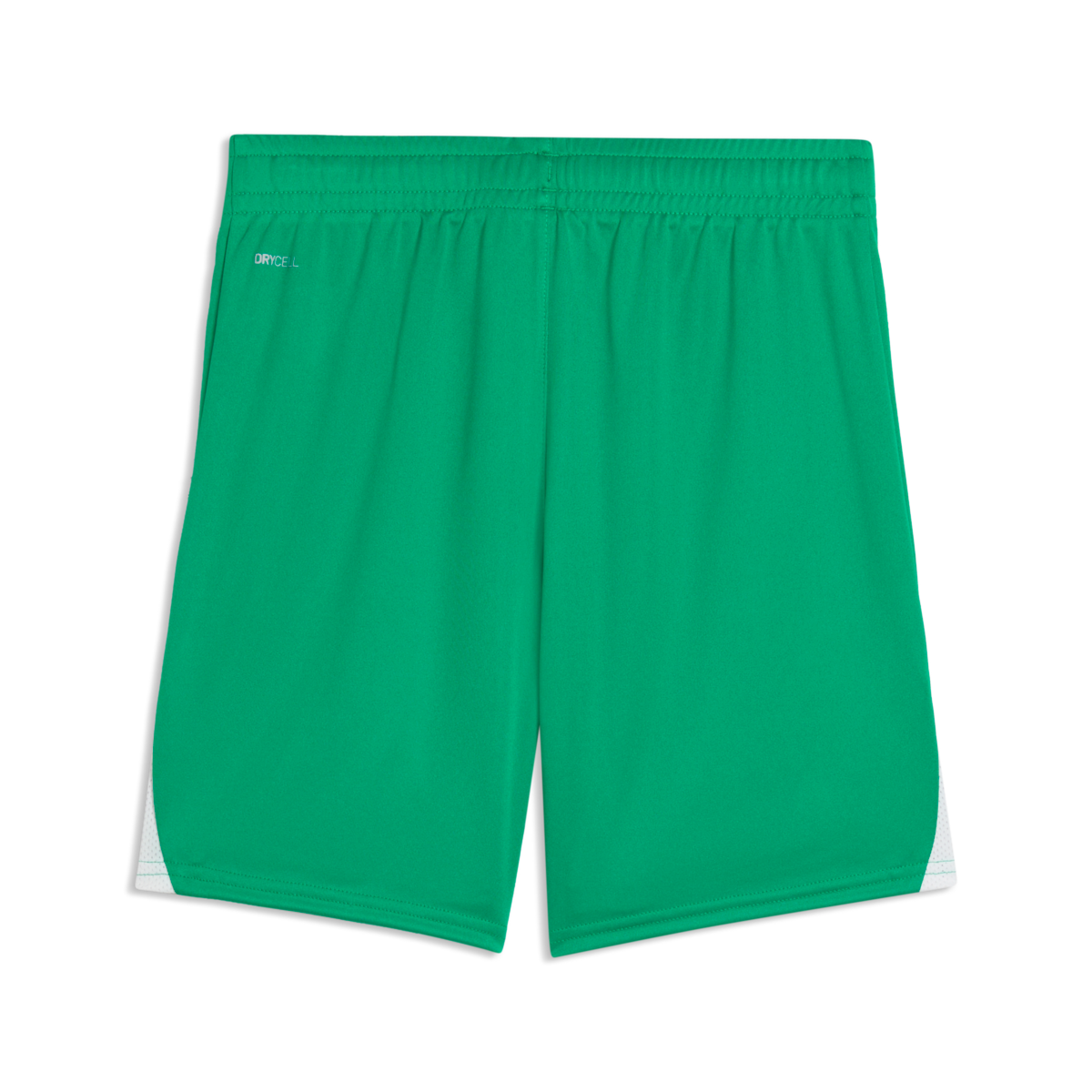 Puma Youth TeamLiga 26 Shorts - Green