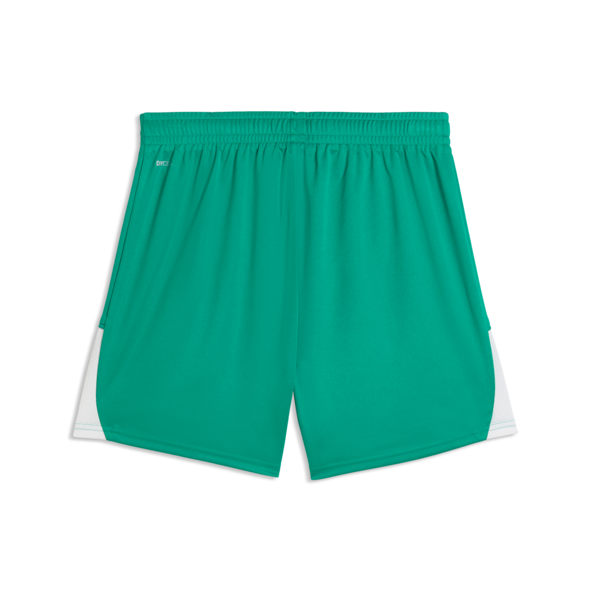 Puma Women'S TeamLiga 26 Shorts - Green