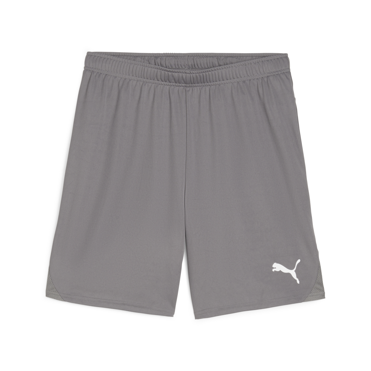 Puma Teamgoal Shorts - Grey 705752-13