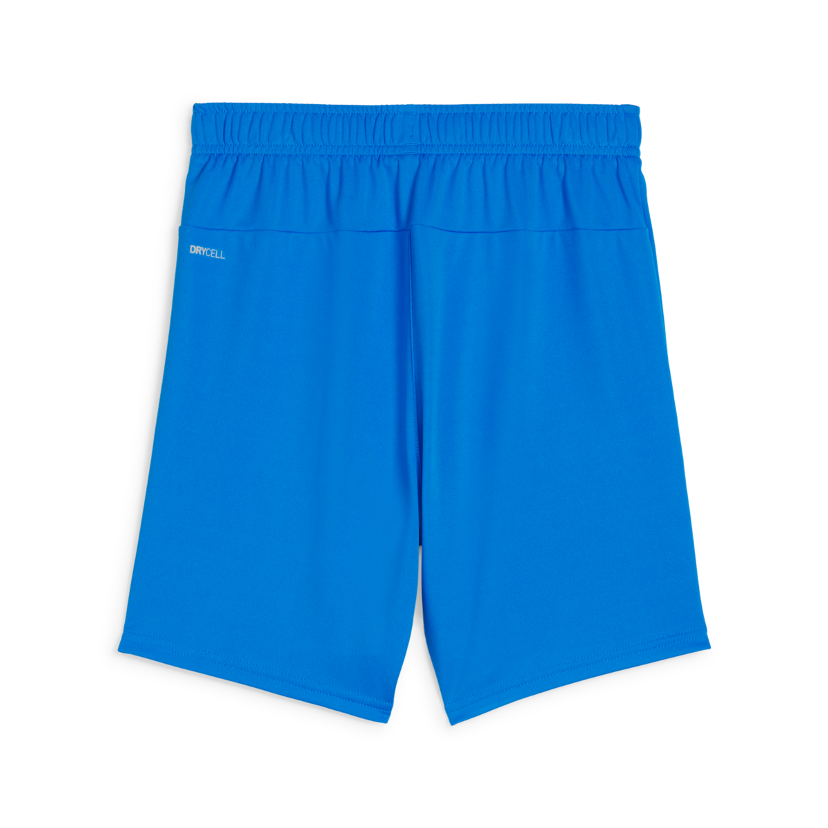 Puma Youth Teamgoal Shorts - Royal Blue 705753-02