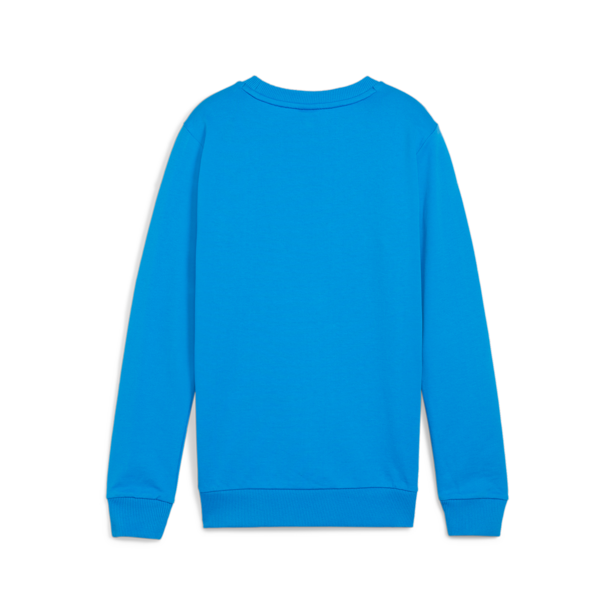 Puma Youth TeamGoal Casuals Crew Neck Sweat - Ignite Blue