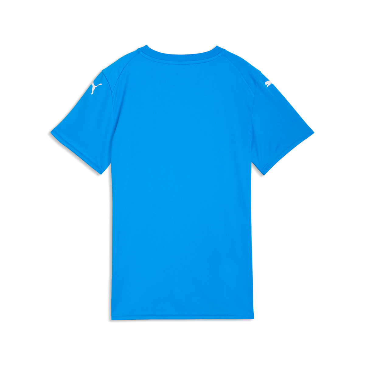 Puma Women'S Teamfinal Graphic Jersey - Royal