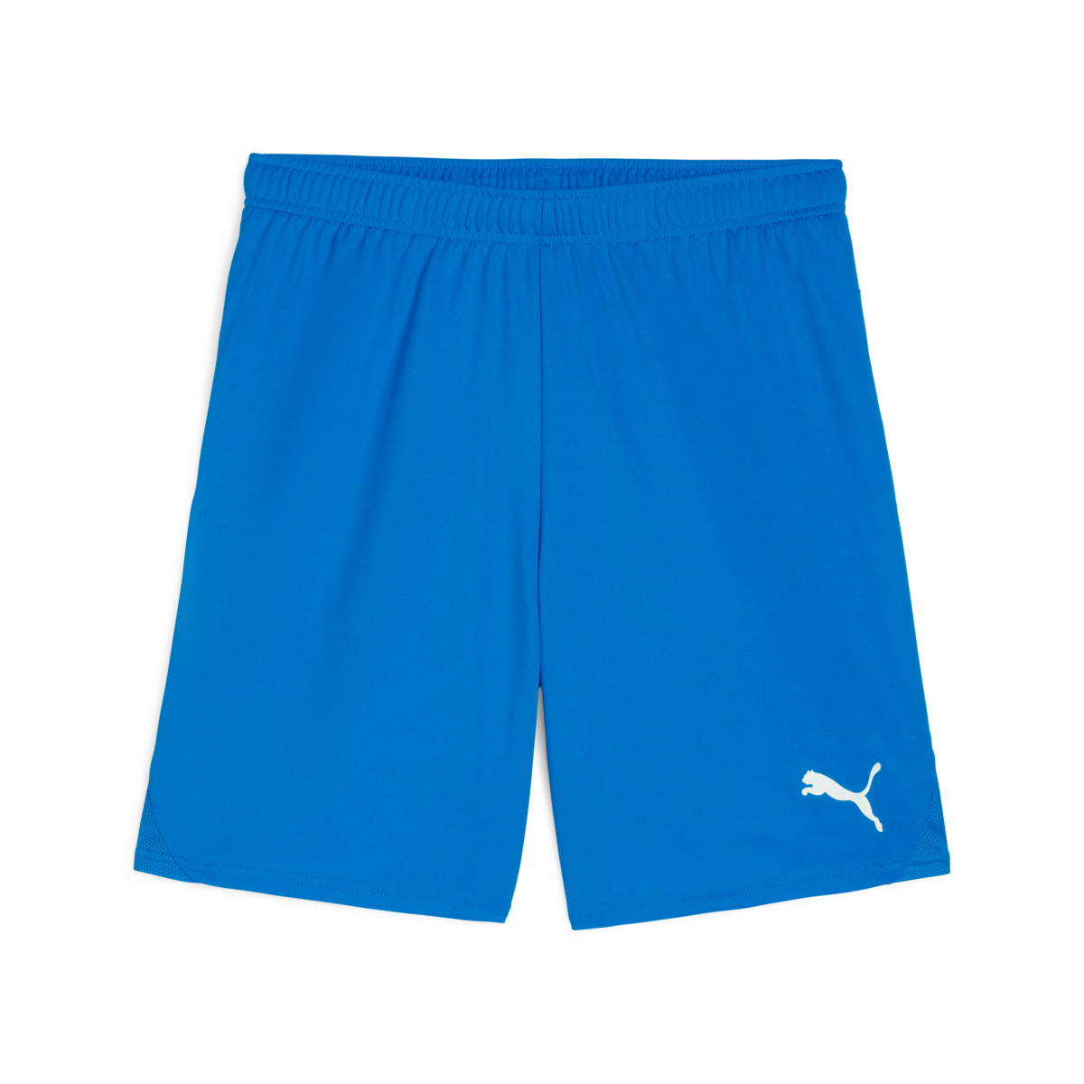 Puma Teamgoal Shorts Soccer 705752-02 Blue