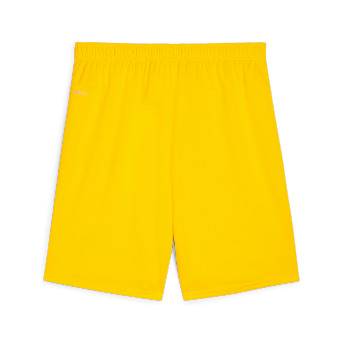 Puma Teamgoal Shorts - Yellow 705752-07