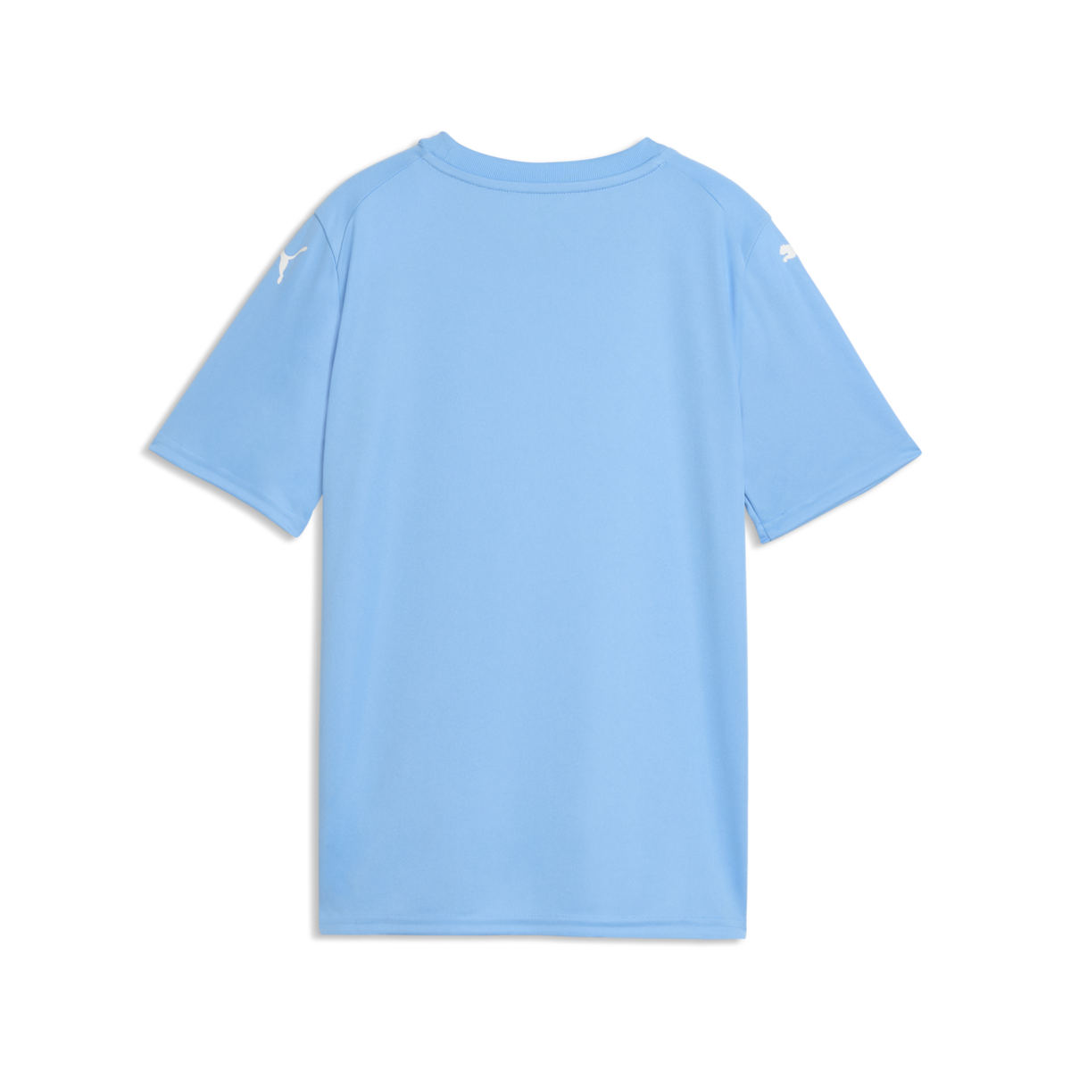 Puma Youth Teamfinal Graphic Jersey - Light Blue