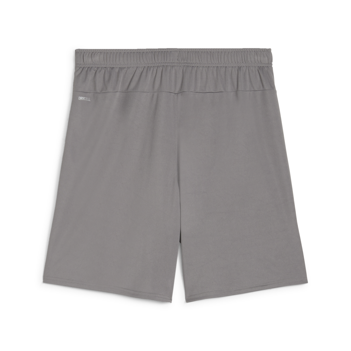 Puma Teamgoal Shorts - Grey 705752-13