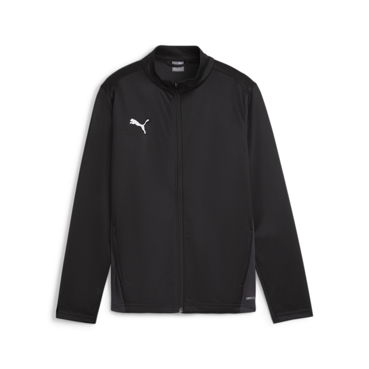 Puma Youth Team Goal Training Jacket - Black 658634-03