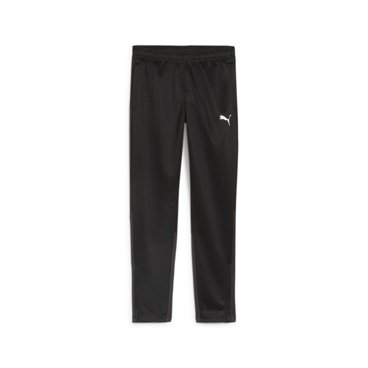 Puma Youth Team Goal Training Pants - Black 658641-03