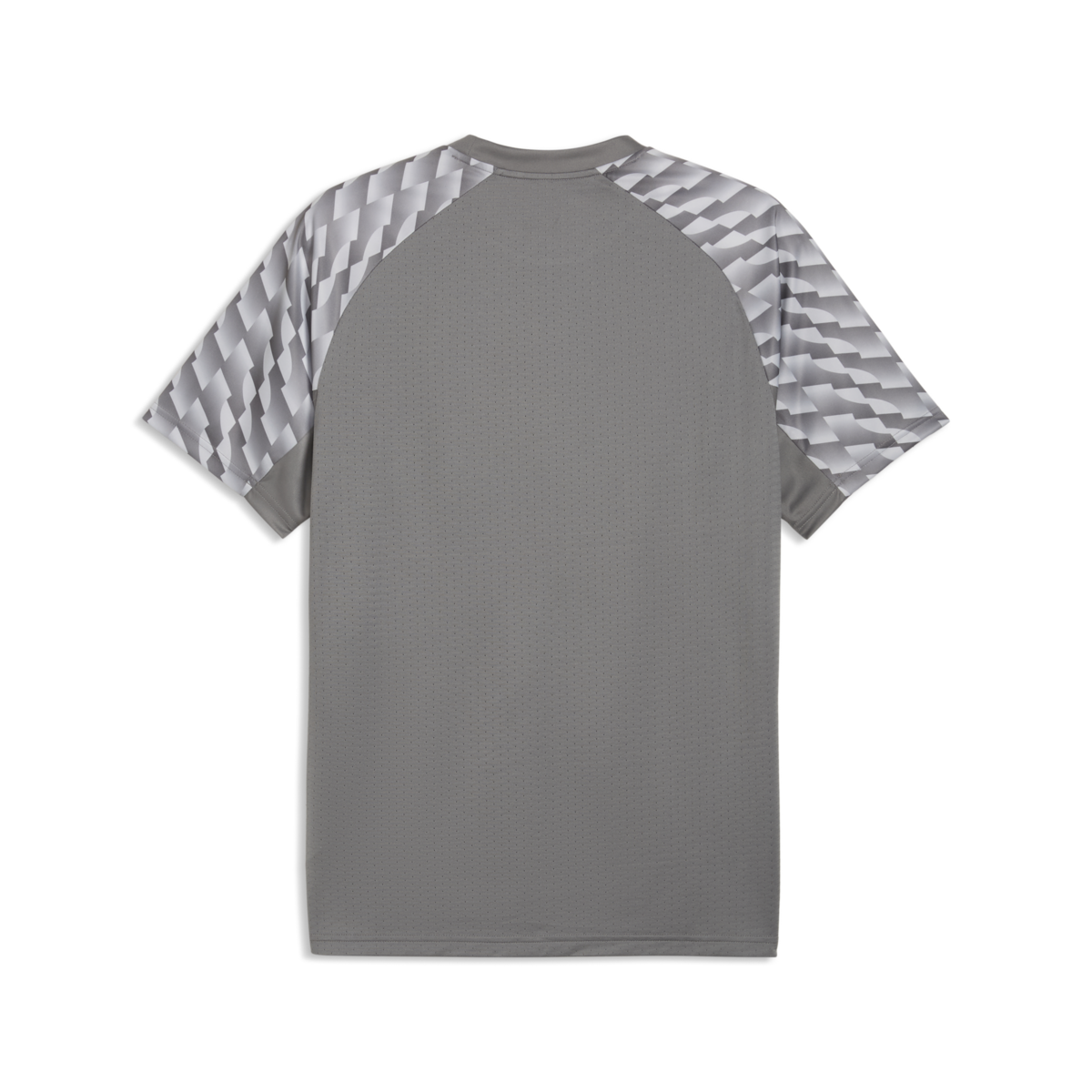 Puma TeamLiga 26 Jersey - Gray