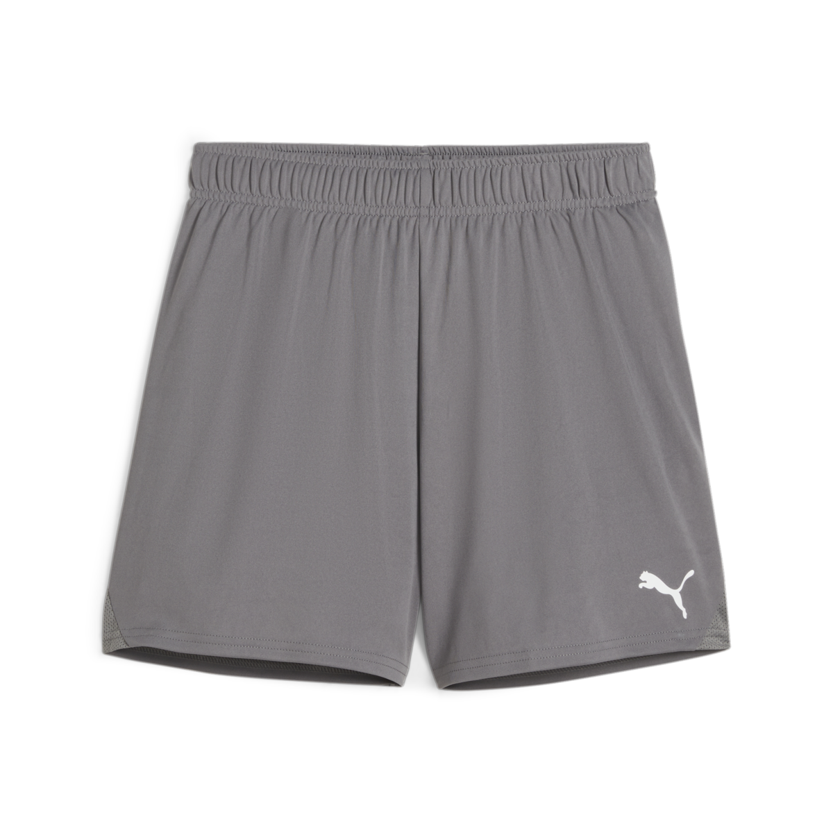 Puma Women's Teamgoal Shorts - Grey 705754-13