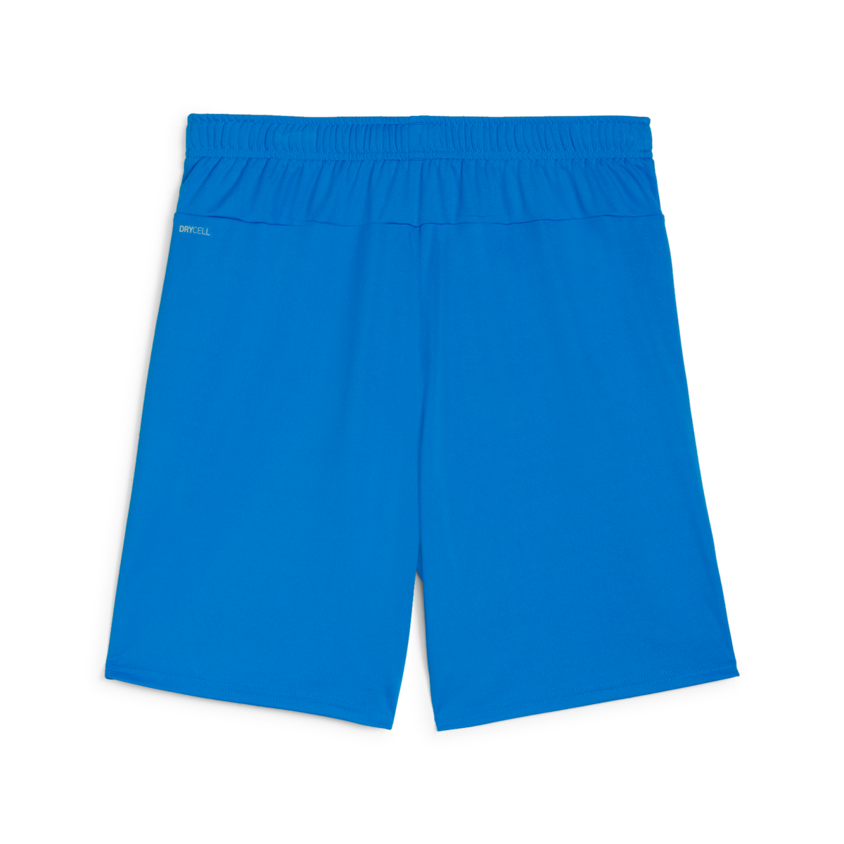 Puma Teamgoal Shorts - Blue 705752-02