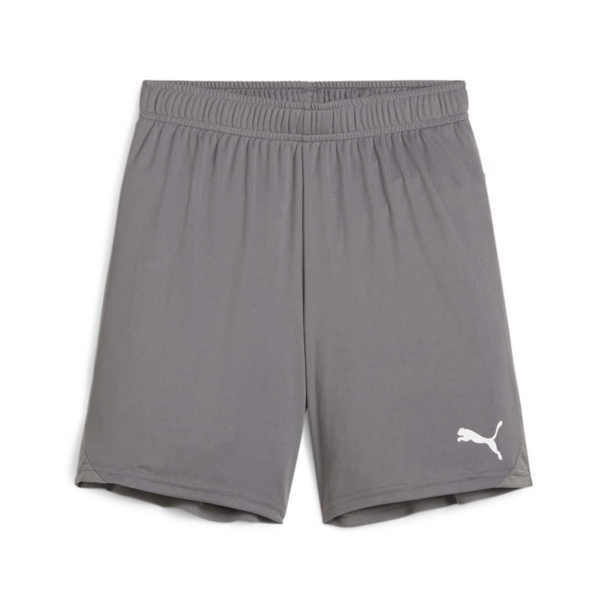 Puma Youth Teamgoal Shorts - Grey 705753-13
