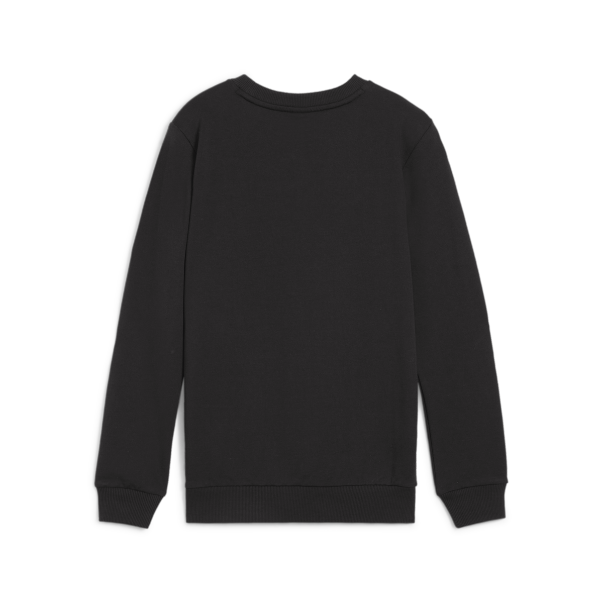 Puma Youth TeamGoal Casuals Crew Neck Sweat - Black