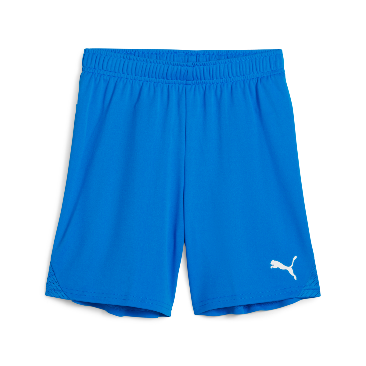 Puma Youth Teamgoal Shorts - Royal Blue 705753-02