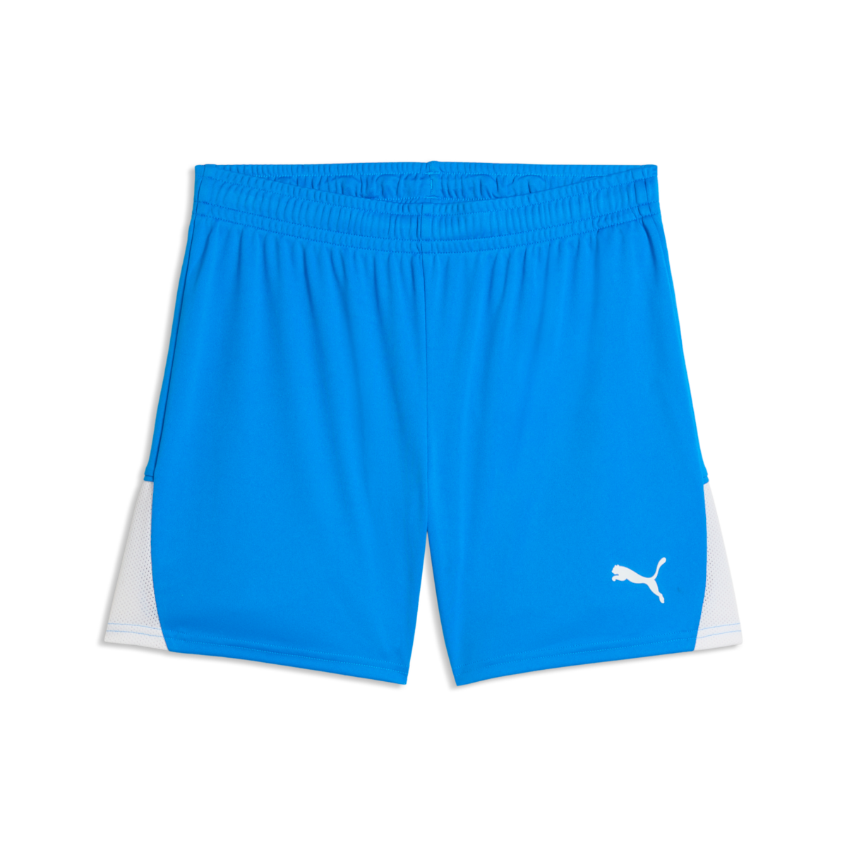 Puma Women'S TeamLiga 26 Shorts - Royal