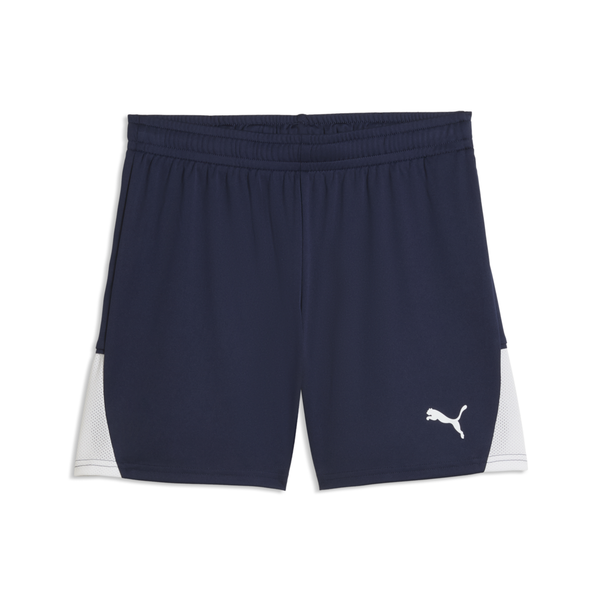 Puma Women'S TeamLiga 26 Shorts - Navy