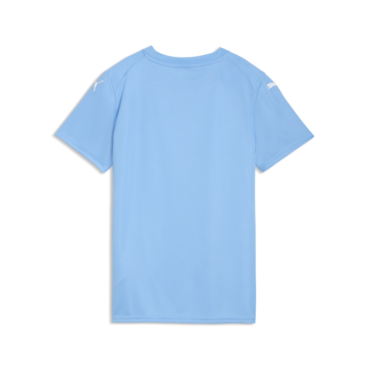 Puma Women'S Teamfinal Graphic Jersey - Light Blue