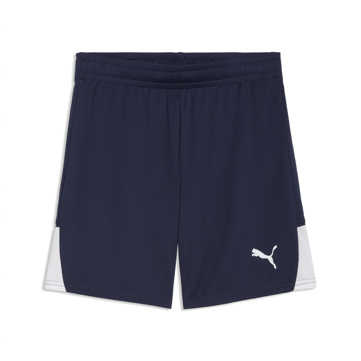Puma Youth TeamLiga 26 Shorts - Navy