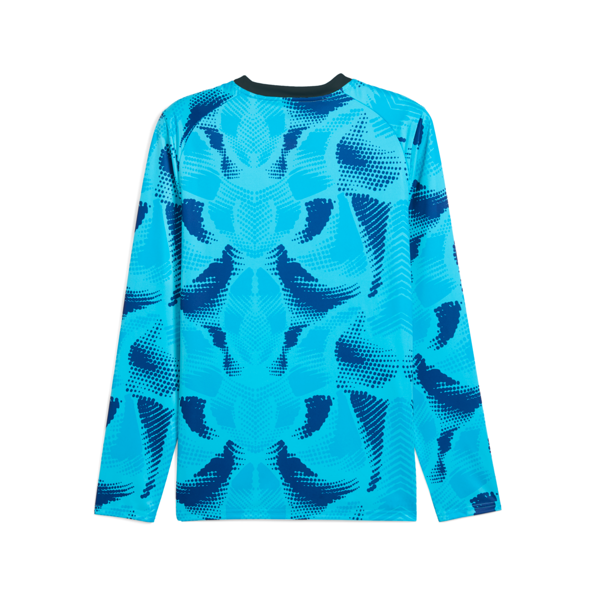 Puma Teamtarget Long Sleeve Goalkeeper Jersey - Blue 706519-02