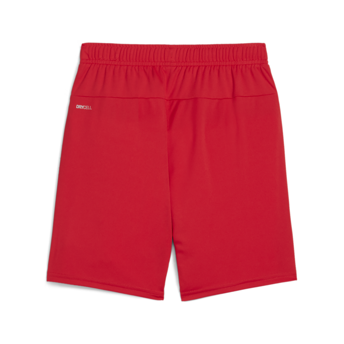 Puma Youth Teamgoal Shorts - Red 705753-01
