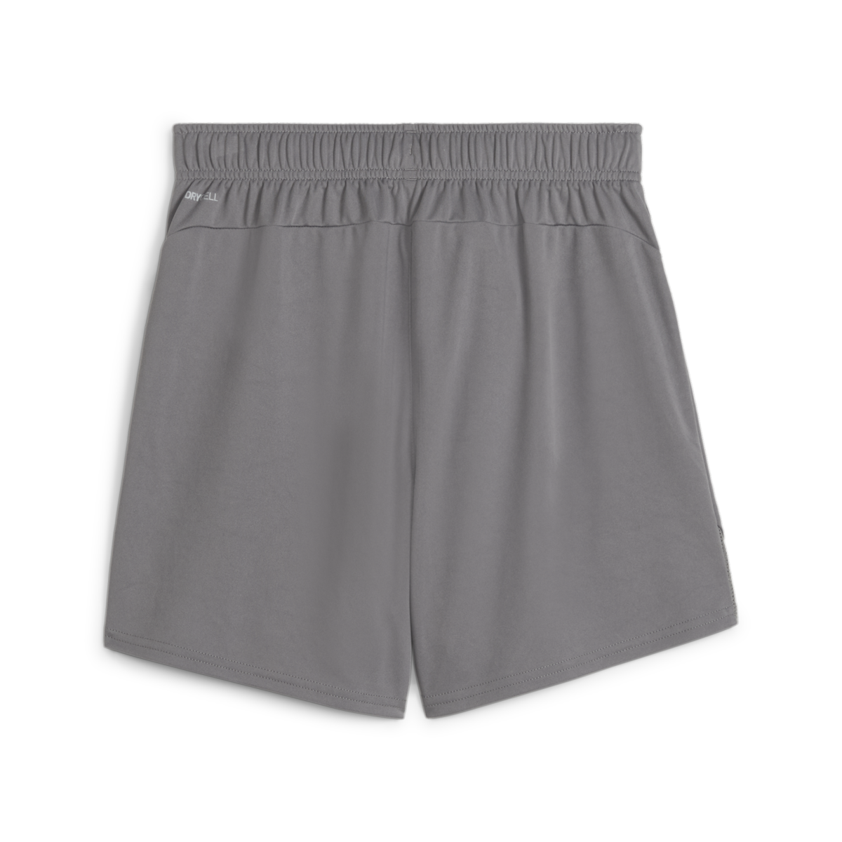 Puma Women's Teamgoal Shorts - Grey 705754-13