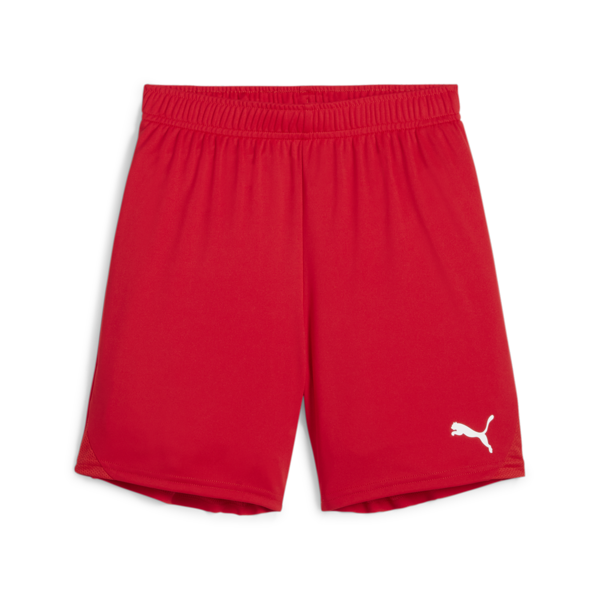 Puma Youth Teamgoal Shorts - Red 705753-01