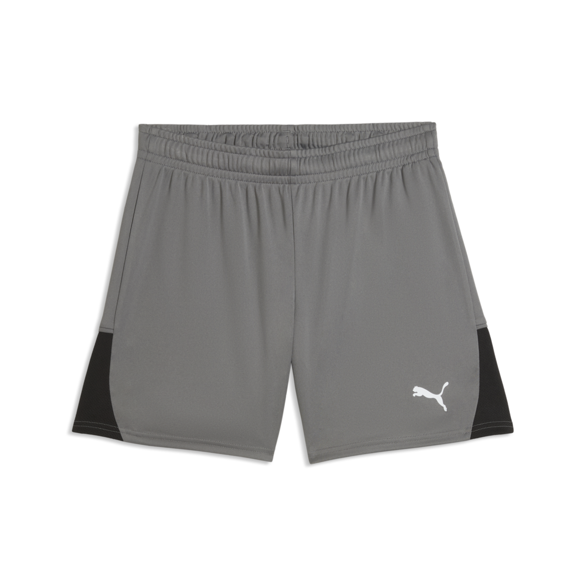 Puma Women'S TeamLiga 26 Shorts - Gray