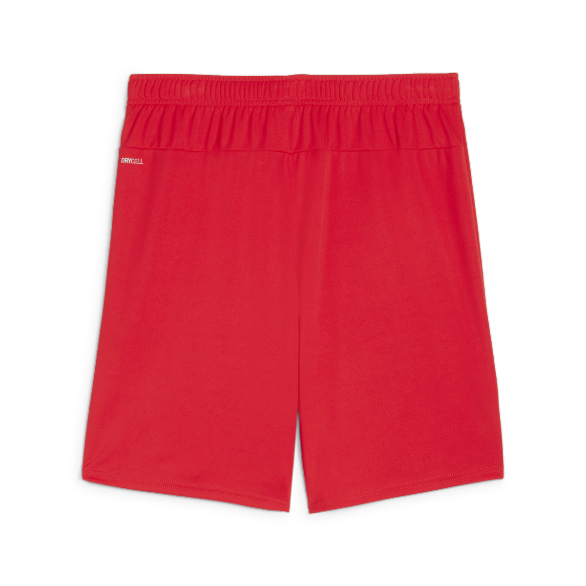 Puma Teamgoal Shorts - Red 705752-01