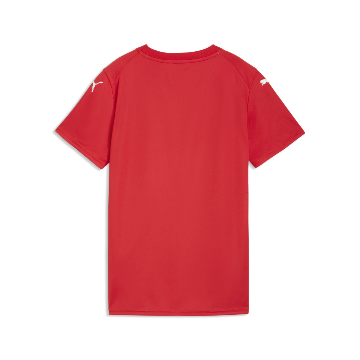 Puma Women'S Teamfinal Graphic Jersey - Red