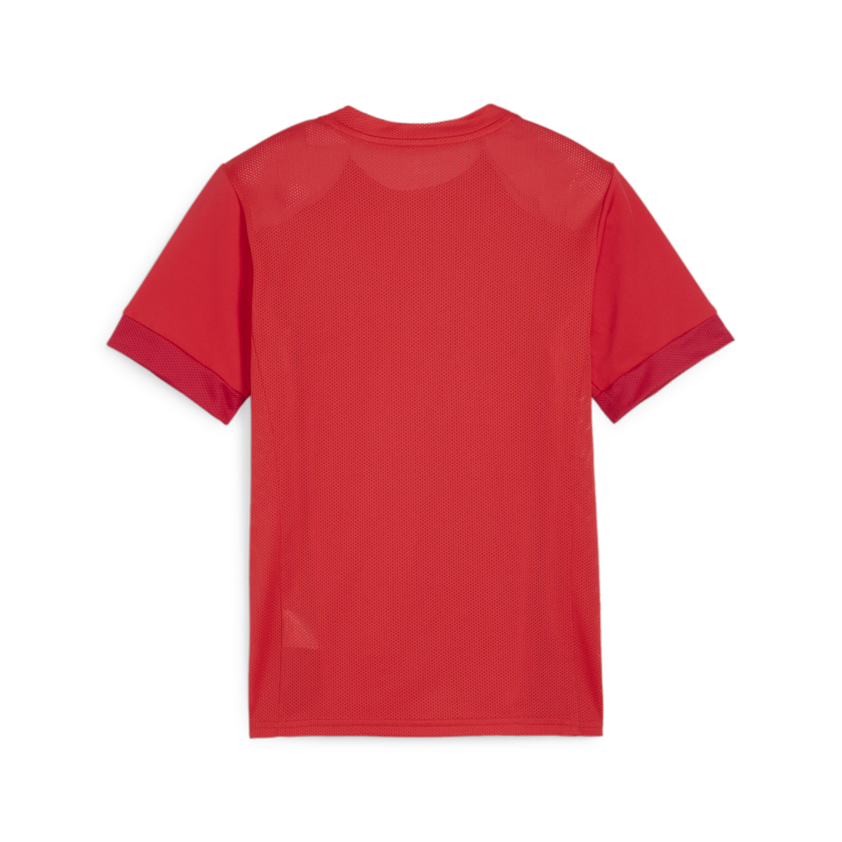 Puma Youth Teamgoal Matchday Jersey - Red 705748-01