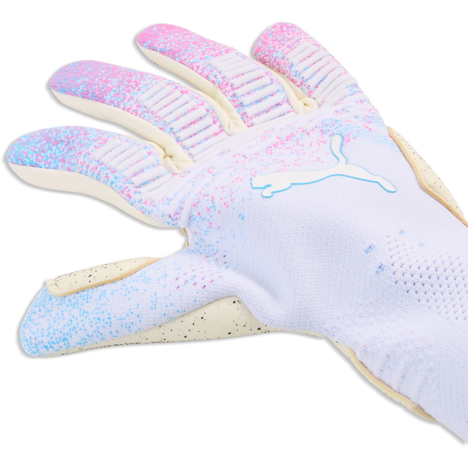 Puma Future Ultimate NC Goalkeeper Gloves