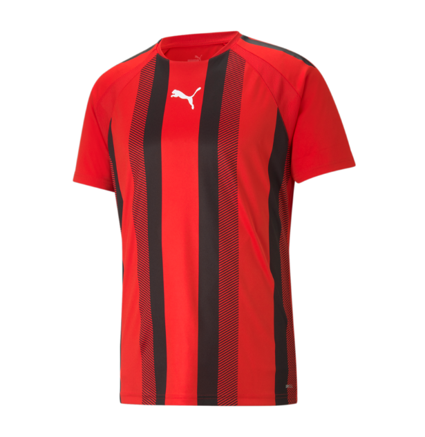 Puma TeamLiga 25 Stripe Jersey - Red 704920-01