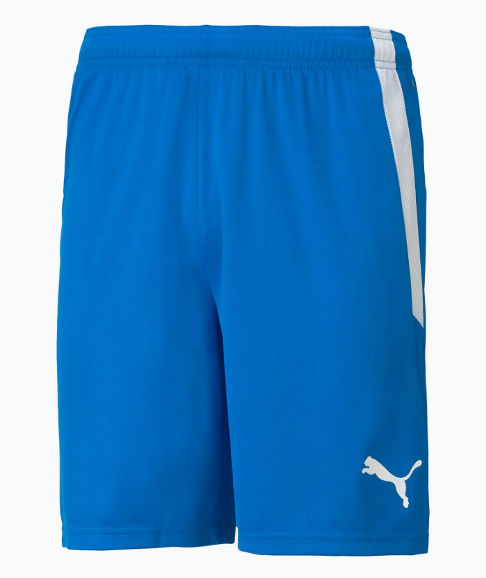 A pair of royal blue Puma athletic shorts with a white mesh stripe on the side and a white Puma logo on the bottom right leg.