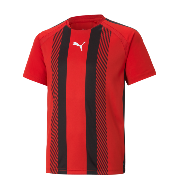Puma TeamLiga 25 Youth Stripe Jersey - Red 704927-01