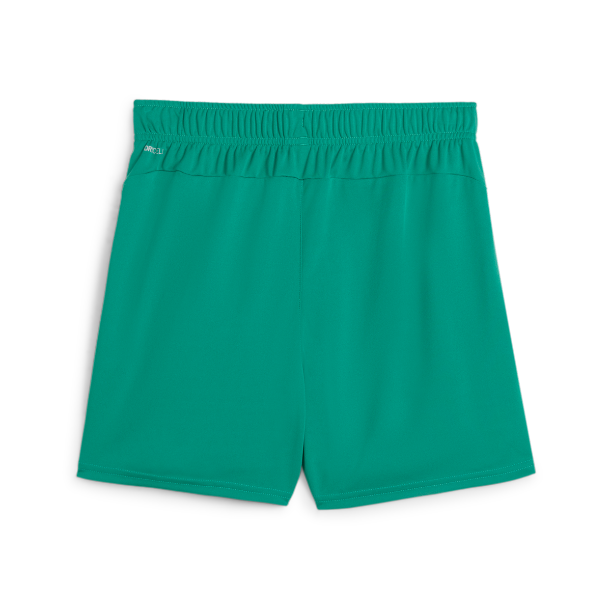 Puma Women's Teamgoal Shorts - Green 705754-05