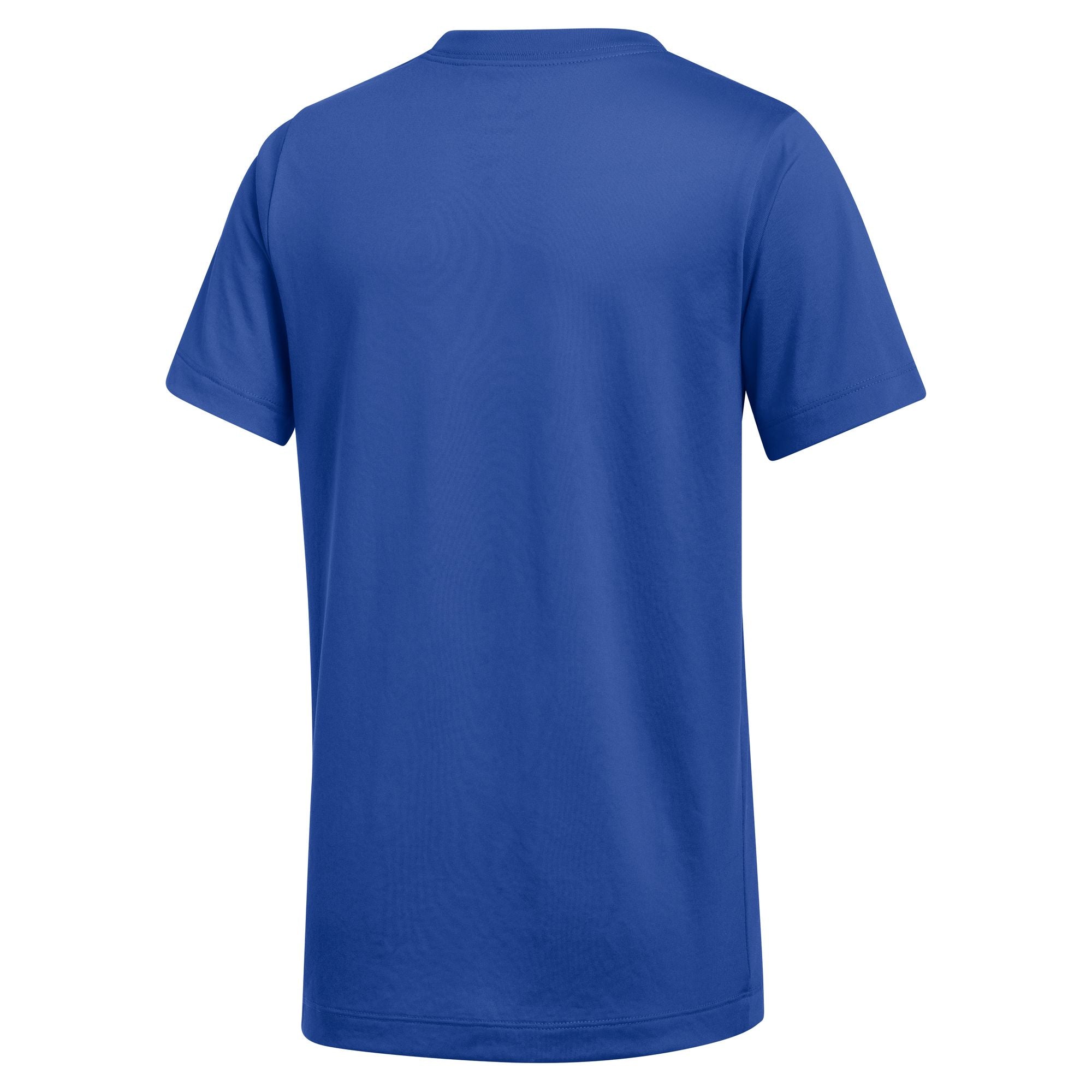 Nike Youth Dri-FIT Legend Tee - Royal DV7317-493