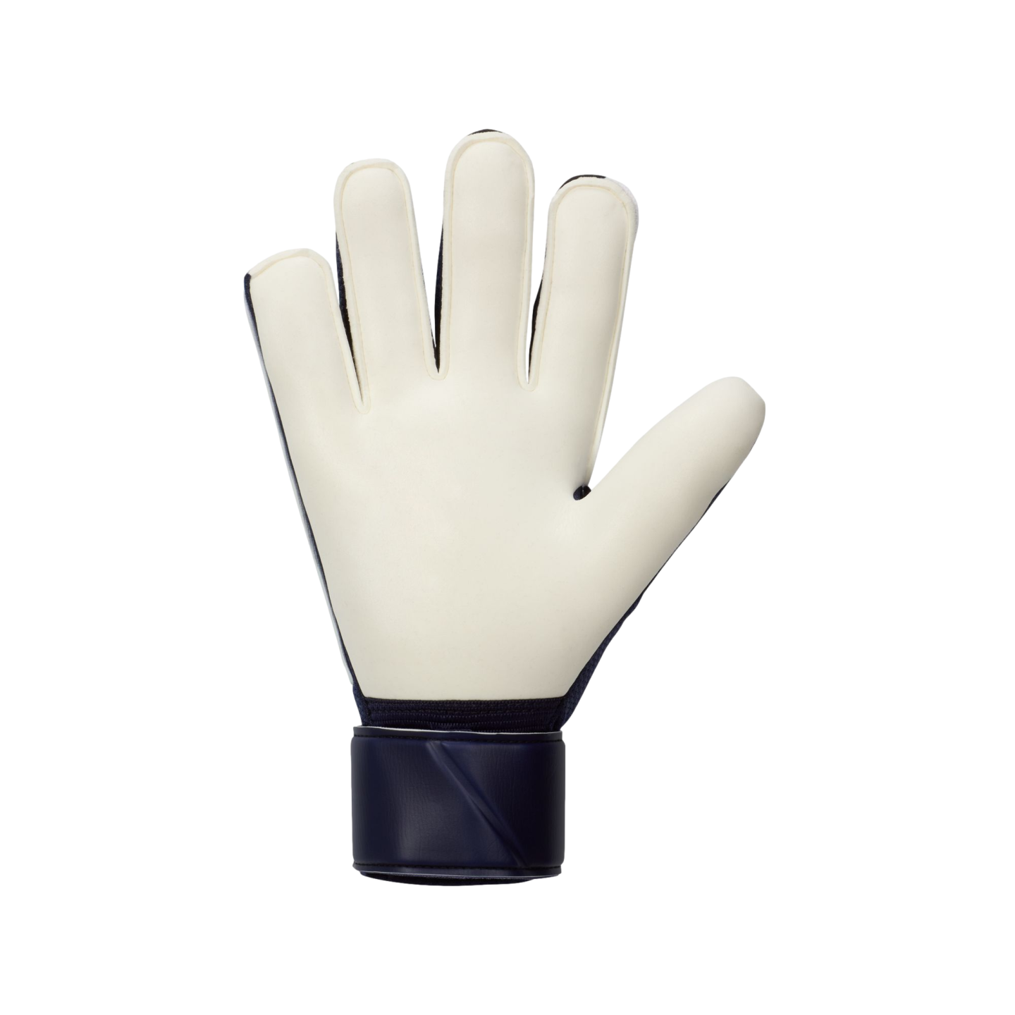 Nike Match Goalkeeper Gloves FJ4862-420