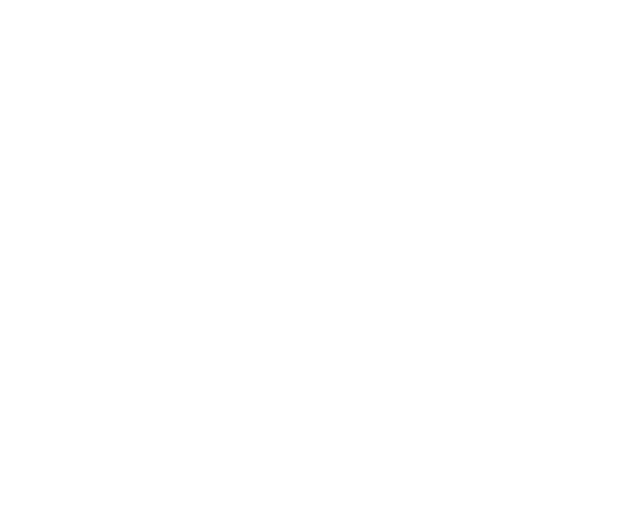 Logo for the Austin WYLIE MEMORIAL FUND, featuring text layered over a stylized soccer ball with motion lines on a black background.