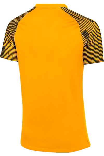 Nike Dri-FIT Academy Jersey - Gold DH8033-739