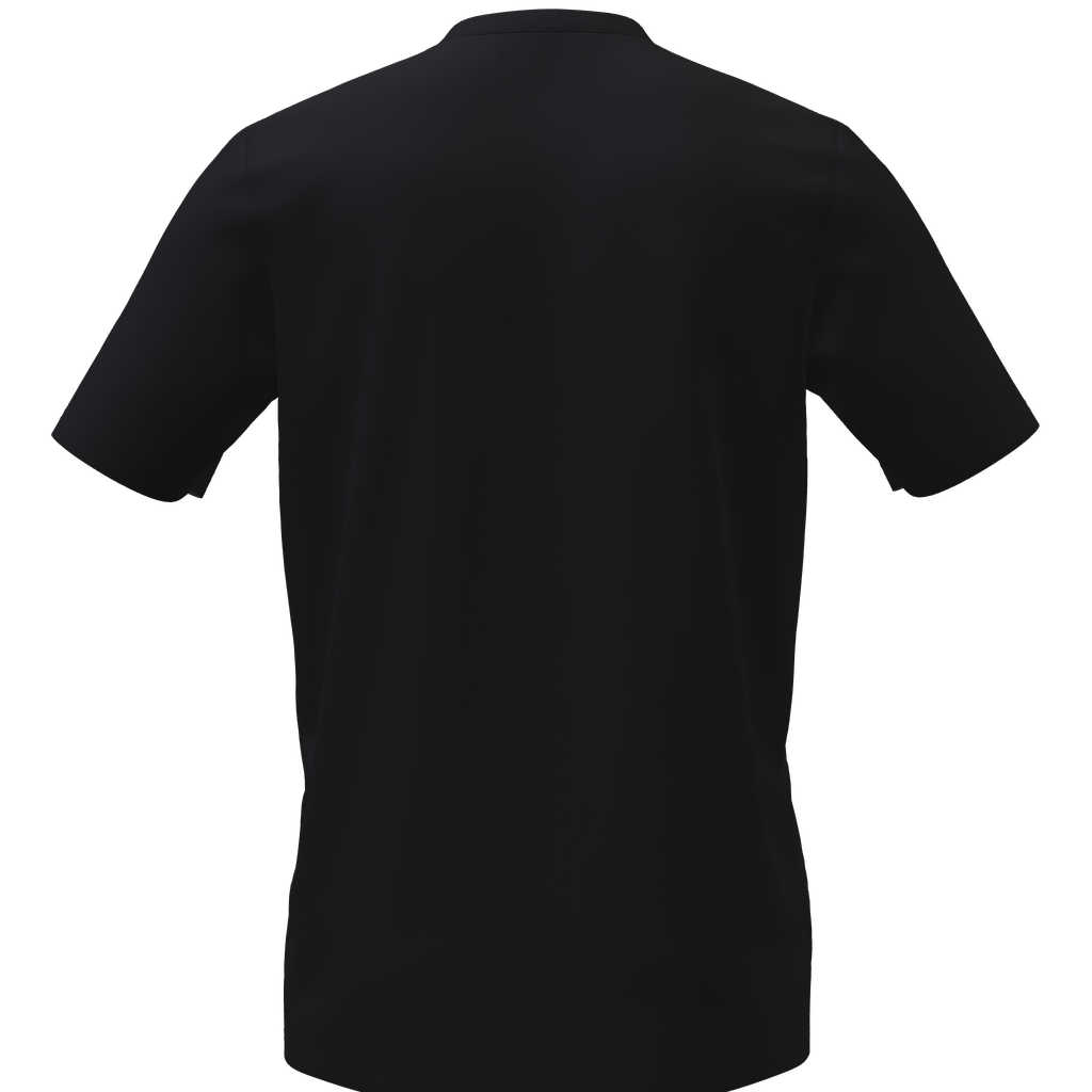Back view of a plain black short-sleeved t-shirt.