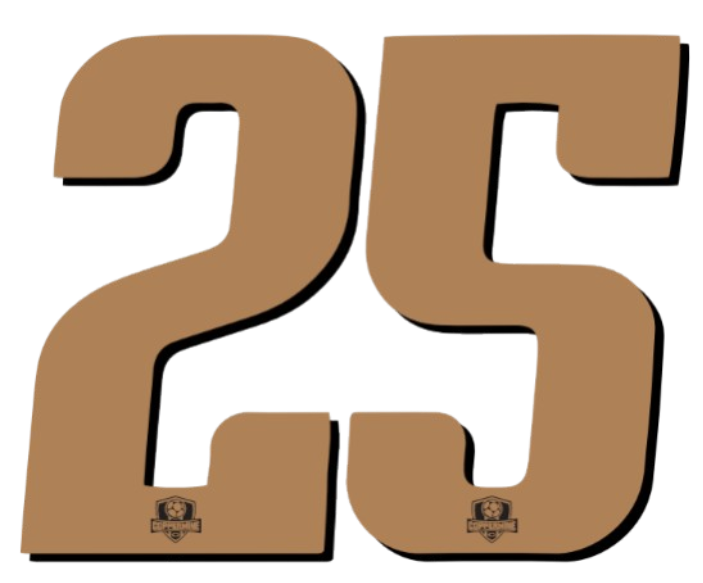 Large brown number 25 in a blocky font with a black drop shadow. Small shield-shaped logos are centered at the base of each digit.
