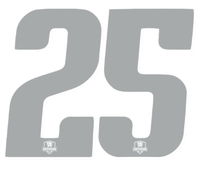 Stylized grey number 25 with small soccer-themed shield logos at the bottom of each digit.