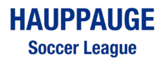 HAUP11 "Hauppauge SL" Full Text