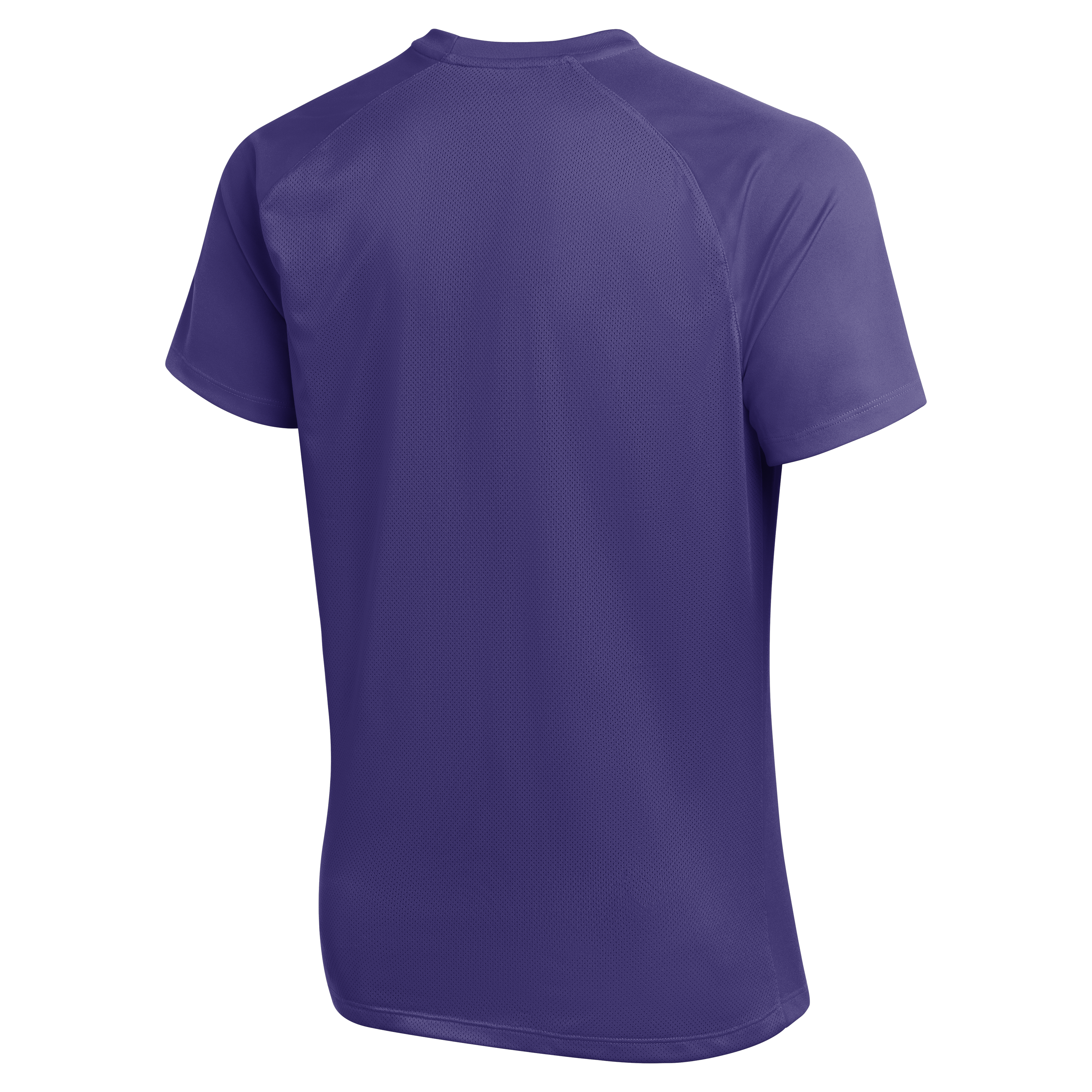 Nike Dri-Fit Park VIII Jersey - Court Purple - back