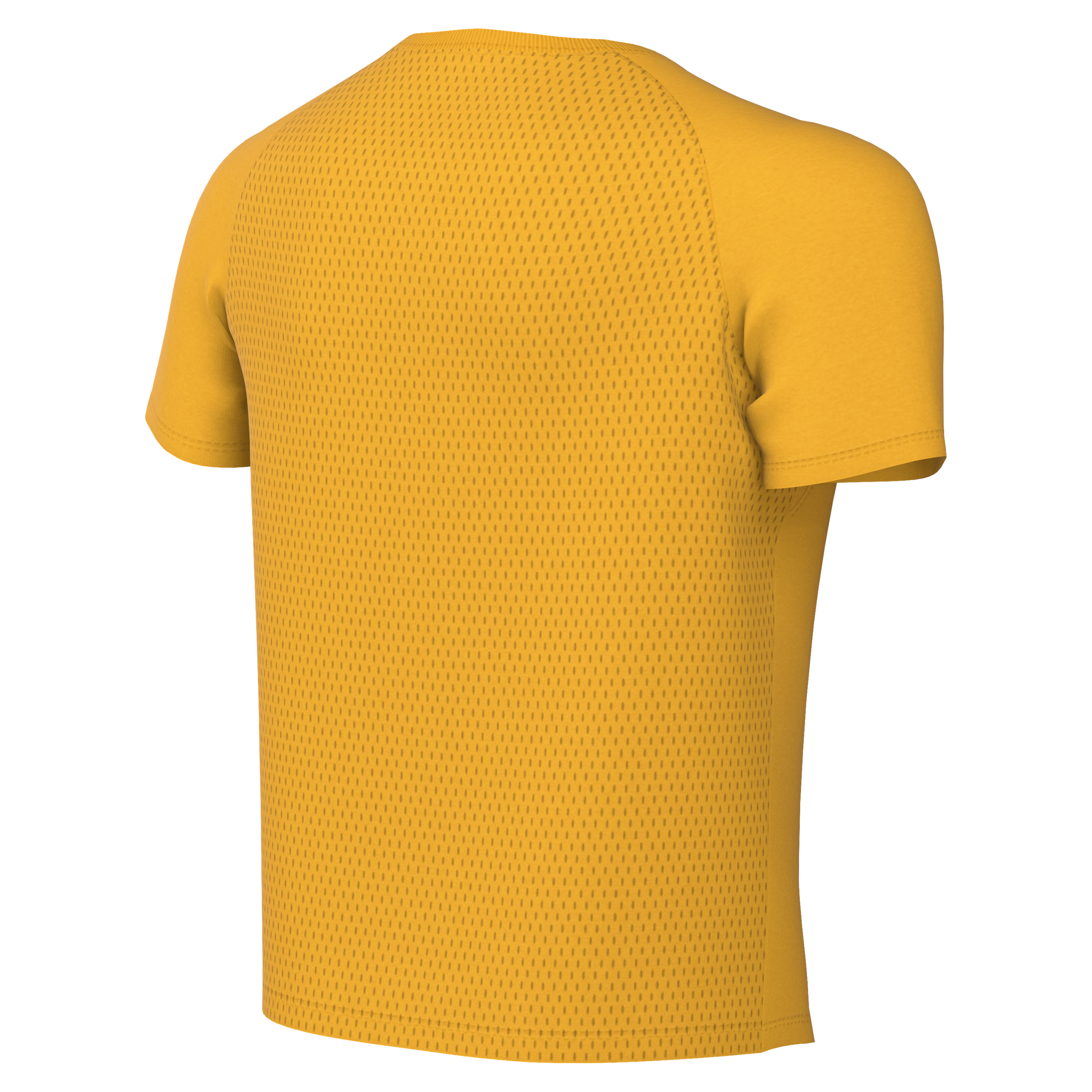 Nike Youth Dri-Fit Park VIII Jersey - University Gold - back
