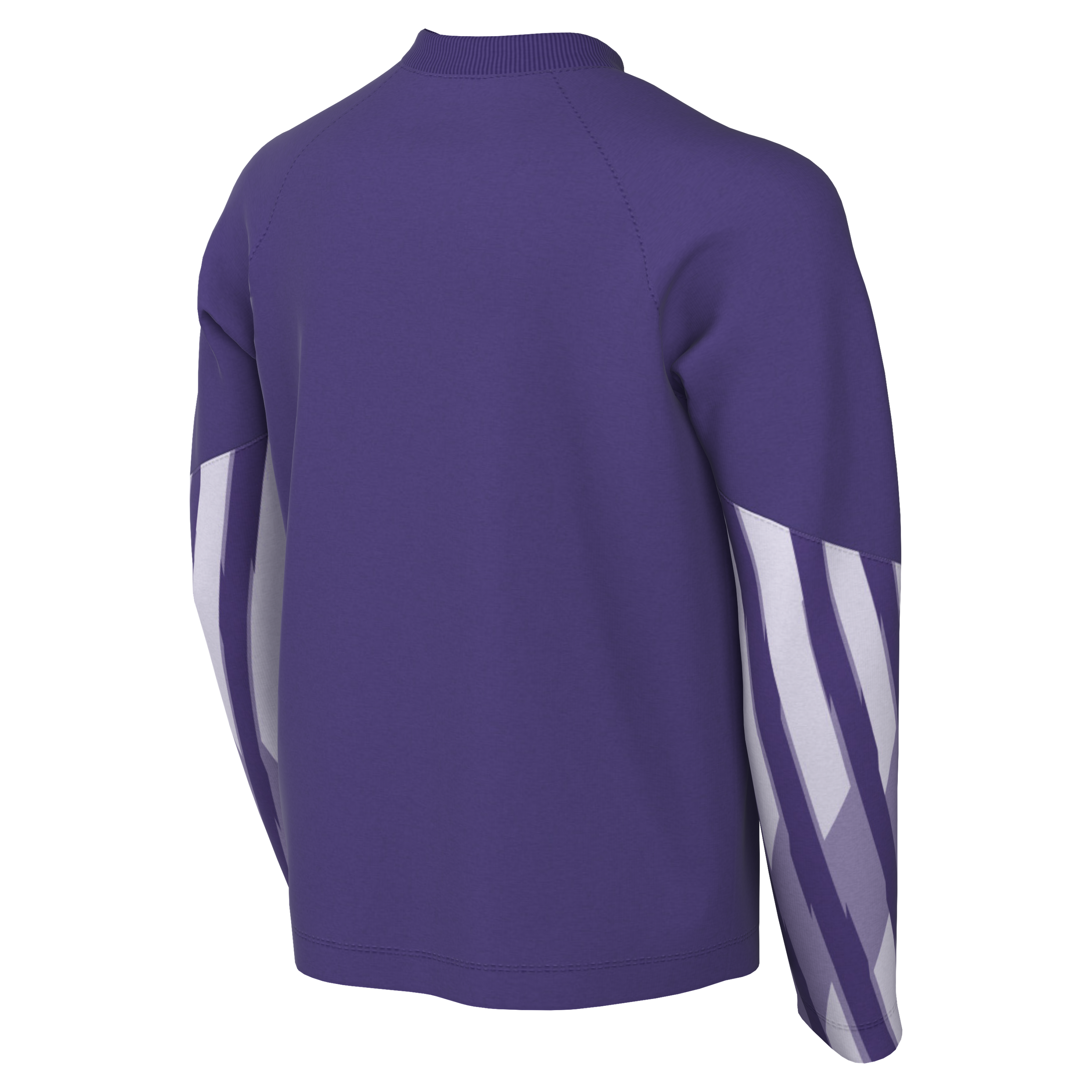 Nike Youth Dri-Fit Park V Gk L/S Jersey - Wild Grape - back