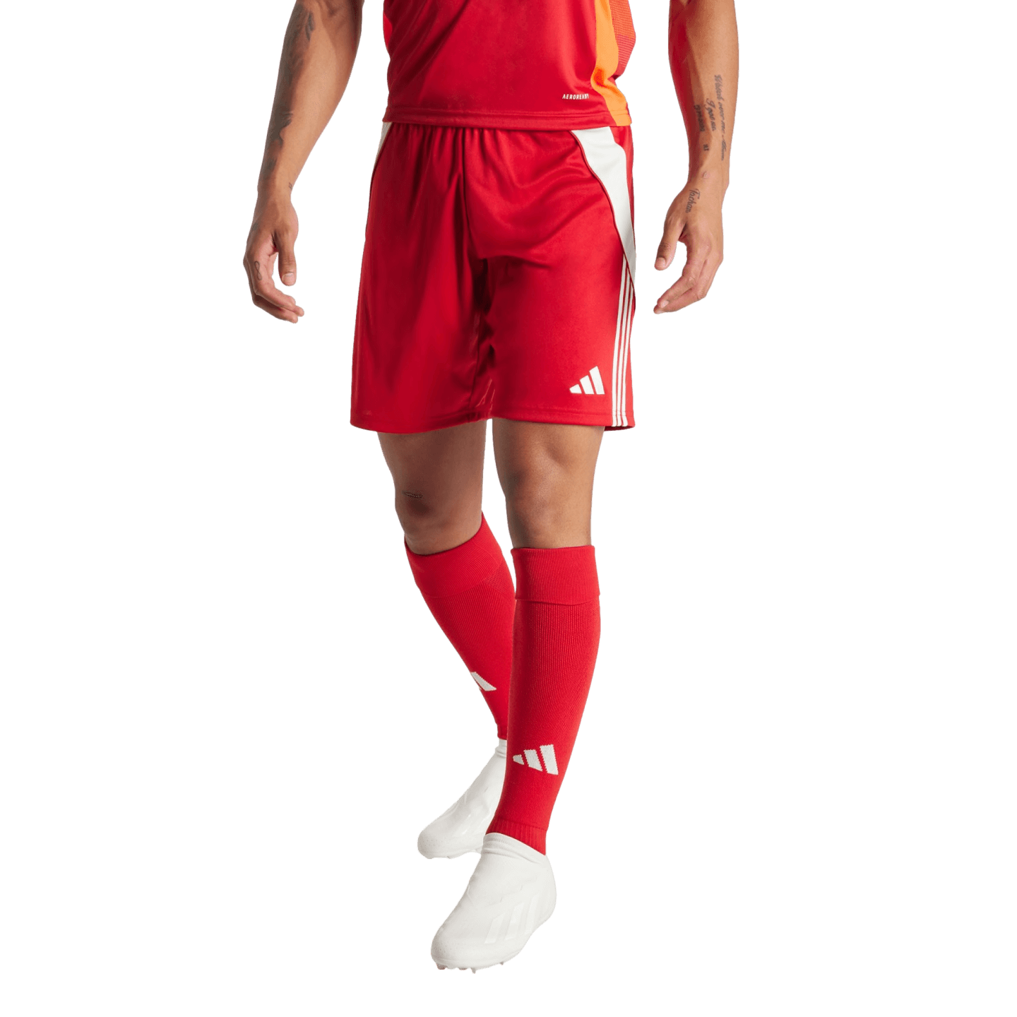 adidas Tiro 24 Shorts - Red IR9379