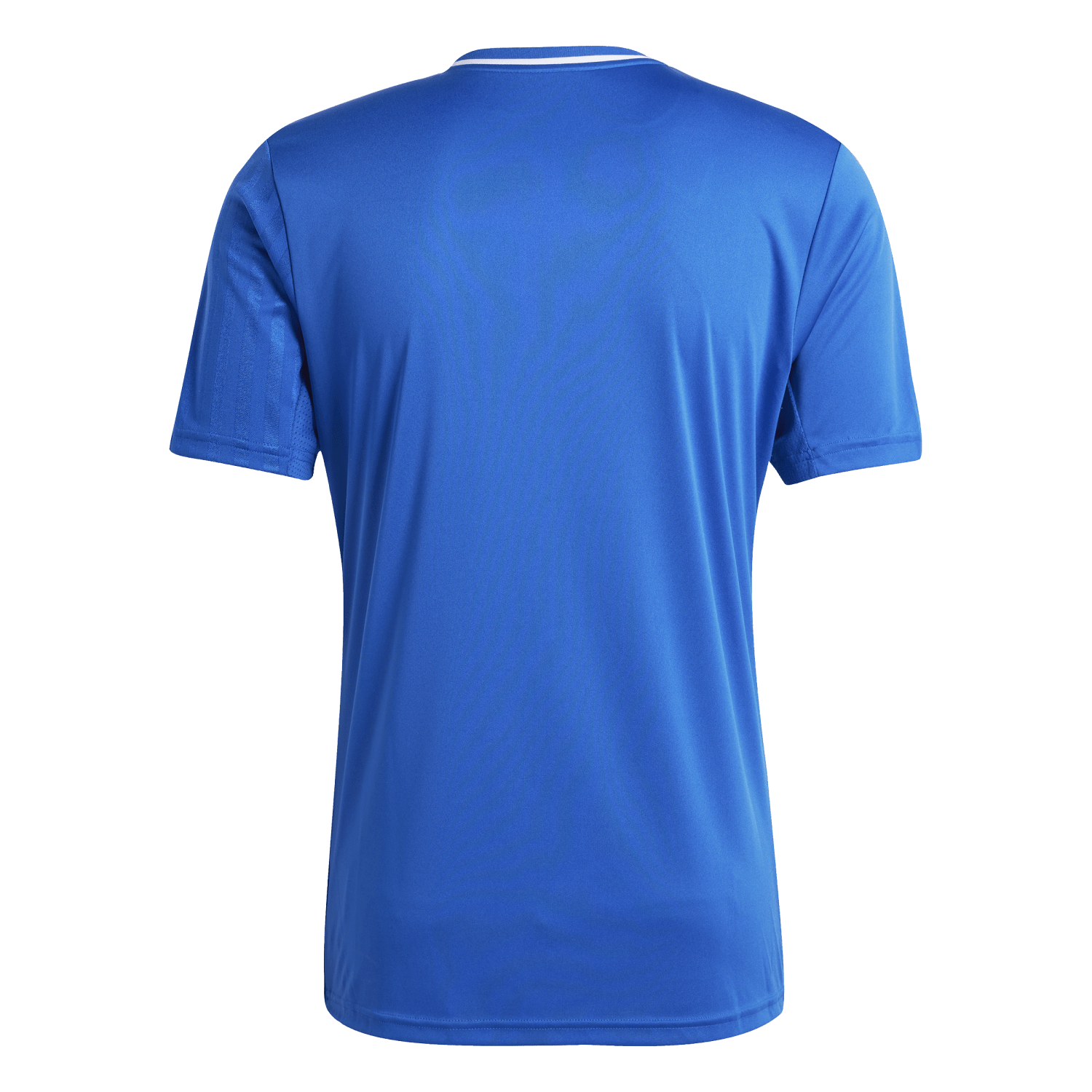 adidas Campeon 25 Jersey - Royal JD9099